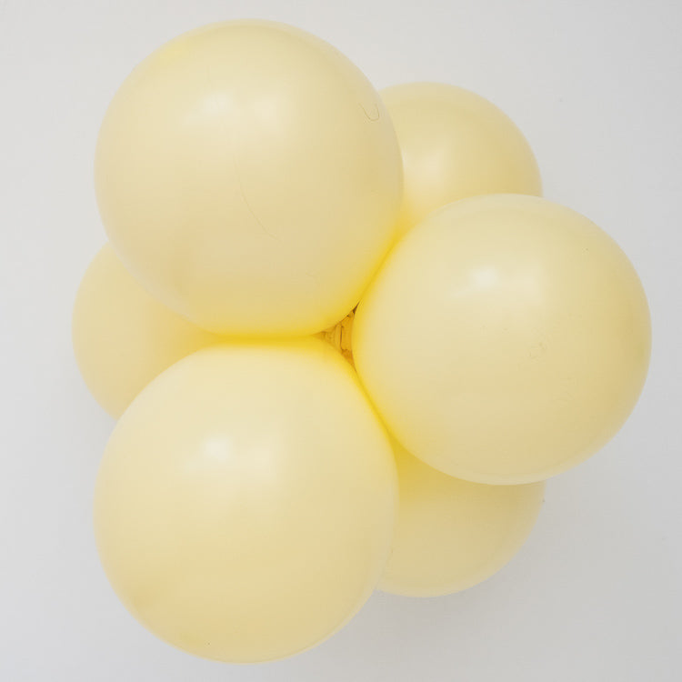 Chalk Daffodil - Small Cluster