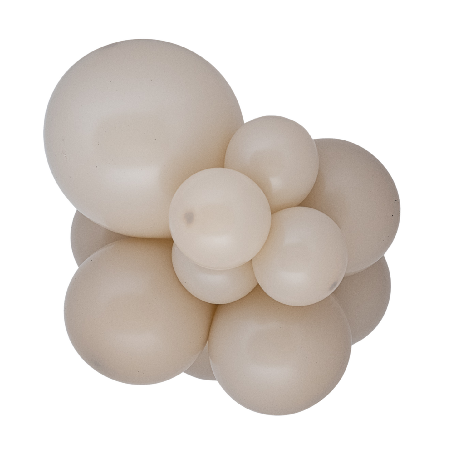 White Sand Sempertex - Large Cluster