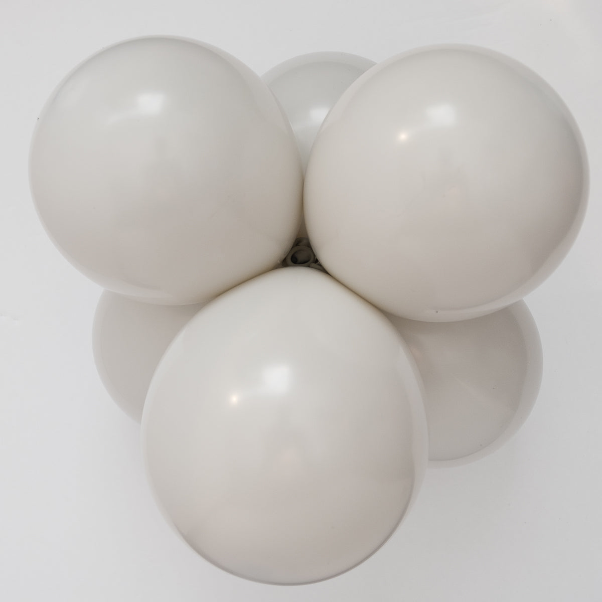 Chalk Bone - Large Cluster
