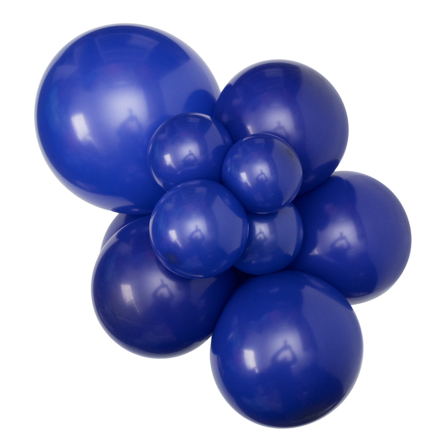Night Blue Sempertex - Small Cluster