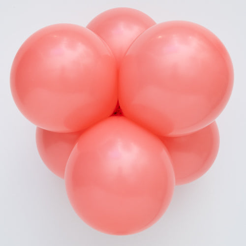 Tropical Coral Sempertex - Small Cluster