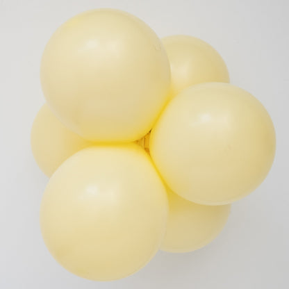17" Chalk Daffodil