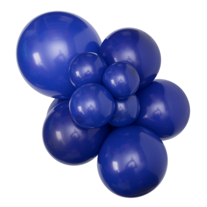 Night Blue Sempertex - Small Cluster